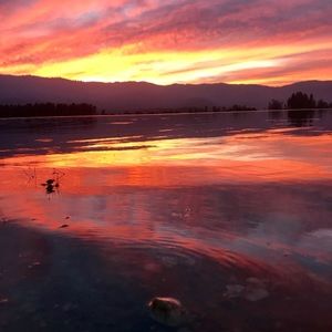 Meet your Posher, Zeek